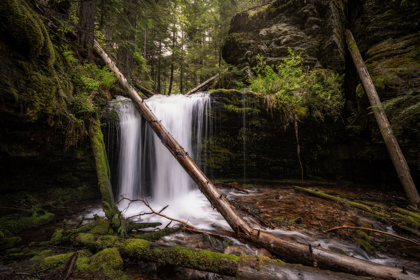 Shadow Falls