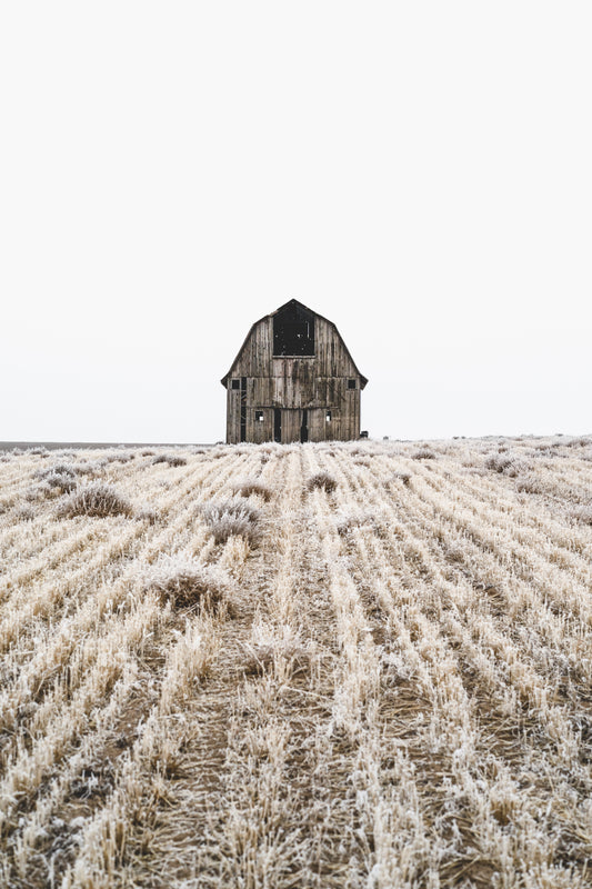 Little Barn on the Prairie