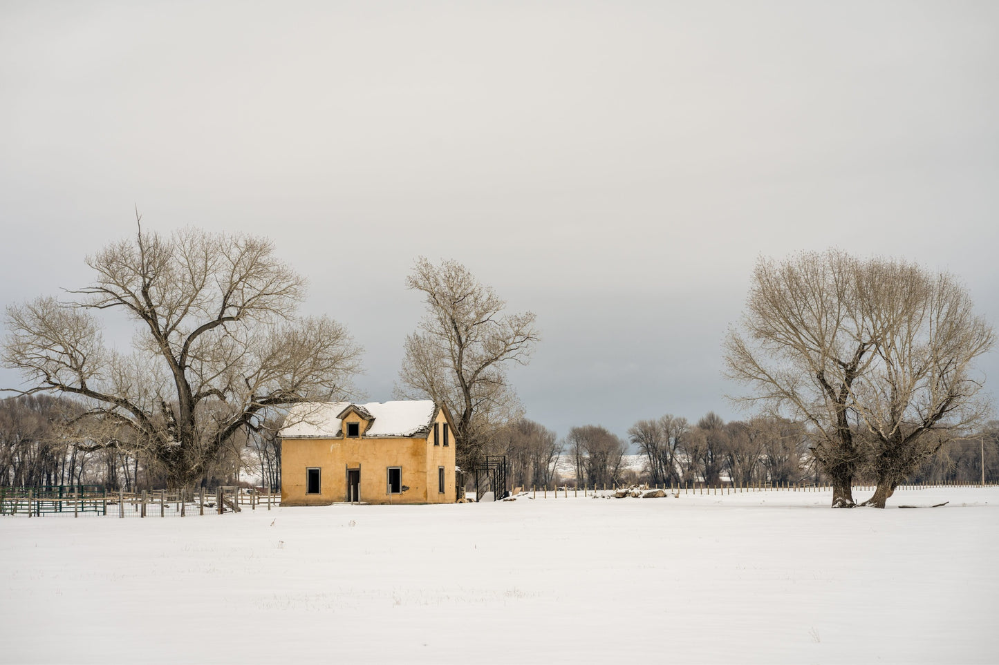 Homestead