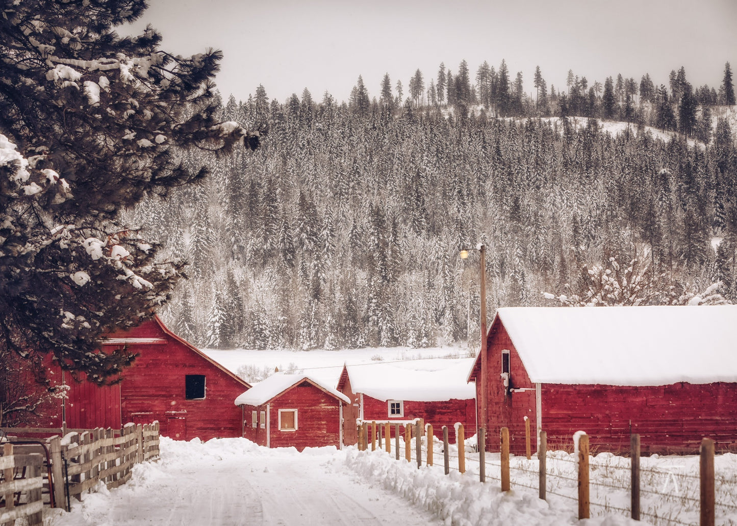 Vintage Red Farmstead