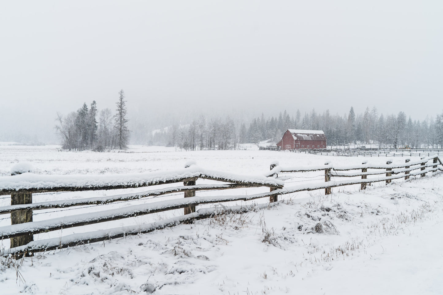 First Snow No. 2