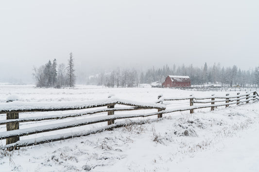 First Snow No. 2