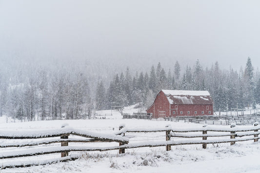 First Snow